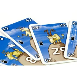 999 Games Buitenspelen & Spelletjes* Bokken Schieten kaartspel