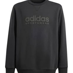 adidas Truien & Vesten*ALL SZN Graphic sweater junior black