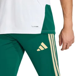 adidas Voetbalkleding*Italië 26 Tiro trainingsbroek heren collegiate green