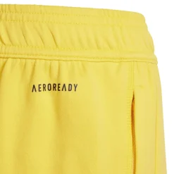 adidas Voetbalkleding*Juventus Tiro 23 trainingsbroek junior bold gold