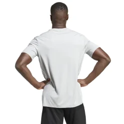 adidas Voetbalkleding*Tabela voetbalshirt heren 23 team light grey white