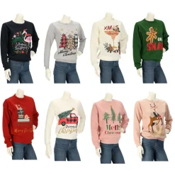 Apollo Truien & Vesten*X-Mas sweater dames assorti