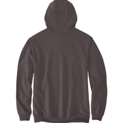 Carhartt Truien & Vesten*Logo Sleeve Graphic hoodie heren dark sepia