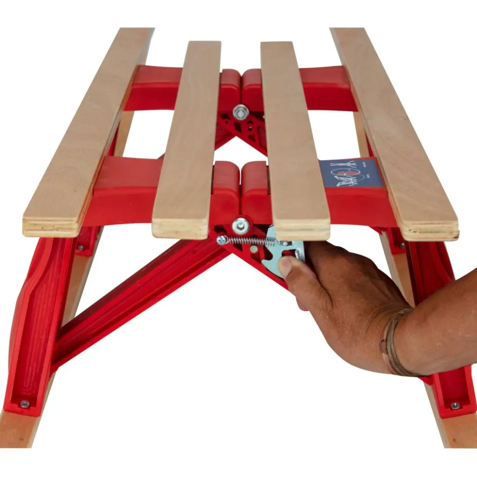 DWS Sleeën|Wintersport*opvouwbare slee red