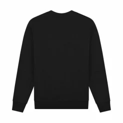 Malelions Truien & Vesten*Sport Counter sweater heren black