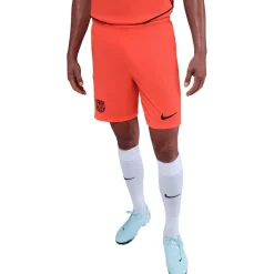 Nike Voetbalkleding*FC Barcelona derde short heren 25 - 26