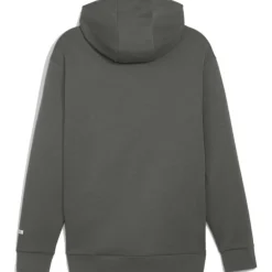 Puma Truien & Vesten*RAD/CAL hoodie heren mineral grey