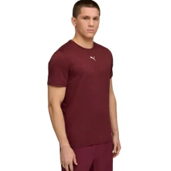 Puma Sportshirt*TAD ESSENTIALS shirt heren ruby shimmer heather