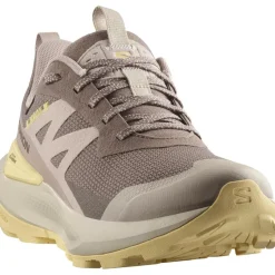 Salomon Wandelen|Wandelschoenen*ELIXIR ACTIV GORE-TEX wandelschoenen dames iron etherea tuc sunlight