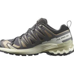 Salomon Hardloopschoenen*XA PRO 3D V9 GORE-TEX hardloopschoenen dames nine iron oxford tan alfalfa