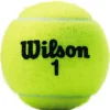 Wilson Tennisballen*Championship tennisballen