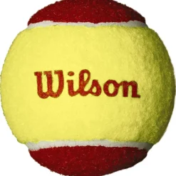 Wilson Tennisballen*Starter Red tennisballen